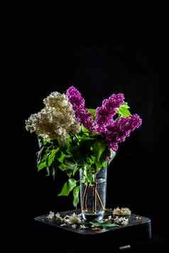 淡紫色花瓶黑色的背景