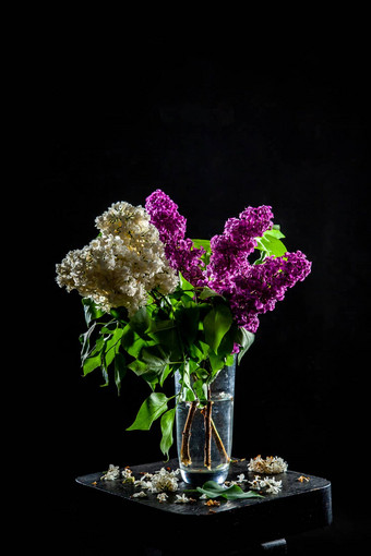 淡紫色花瓶黑色的背景
