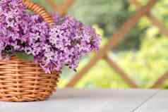 篮子花束淡紫色花白色木表格凉亭花园