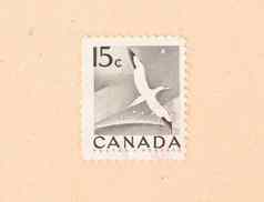 加拿大约邮票印刷加拿大显示塘鹅flyi