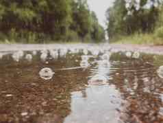 泡沫水坑路雨秋天悲伤概念