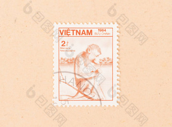 越南约邮票印刷越南显示<strong>猴子</strong>