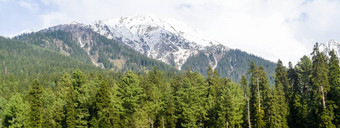 惊人的照片克什米尔谷天堂地球美丽的视图尤斯玛格村包围雪冻喜马拉雅山脉冰川山绿色冷杉松树行森林景观
