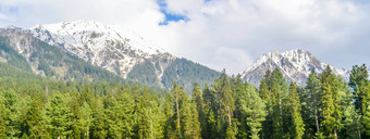 惊人的照片克什米尔谷天堂地球美丽的视图倍他他谷包围雪冻喜马拉雅山脉冰川山绿色冷杉松树行森林景观