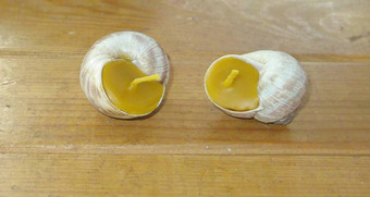 蜂蜡蜡烛votives<strong>蜗牛壳</strong>牌