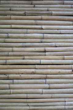 干竹子墙u200b光棕色（的）竹子小大小安排