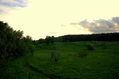 路场包围灌木草地草日落云西伯利亚景观