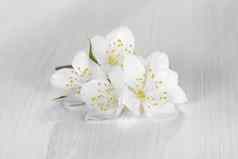 花山梅花被称为茉莉花模拟橙色白色木表格