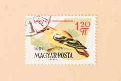 匈牙利约邮票印刷匈牙利显示鸟