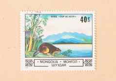 蒙古约邮票印刷蒙古显示比夫