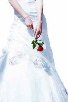 红色的玫瑰手白色衣服新娘