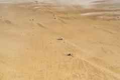 海贝壳石头海黄色的海滩海贝壳桑迪海滩