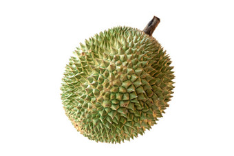 马来西亚著名的水果<strong>榴莲</strong>黑色的刺
