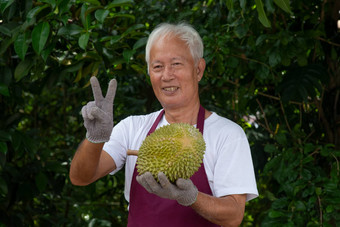 农民<strong>猫山王榴莲</strong>