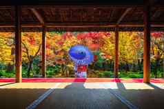 亚洲女人穿日本传统的和服秋天延光寺寺庙《京都议定书》日本