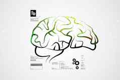 人类大脑结构