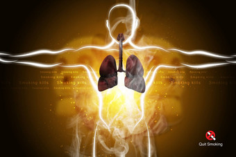 人类呼吸系统肺