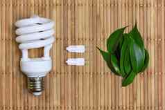 生态能源概念光灯泡