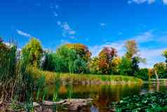 秋天景观阳光明媚的一天小池塘