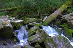 山河携带水域石头倾倒树