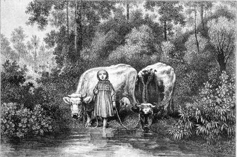 绘画展览牛浇水洞古董