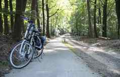 自行车森林自行车旅行