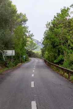 路树骑自行车路线马略卡岛