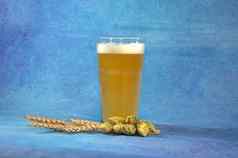 完整的玻璃光啤酒泡沫耳朵小麦啤酒花蓝色的背景