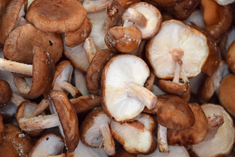 香菇可食用的蘑菇零售显示