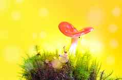 红色的蘑菇梦幻仙女蘑菇黄色的