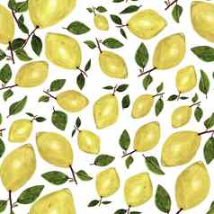 无缝的模式手画柠檬叶子白色