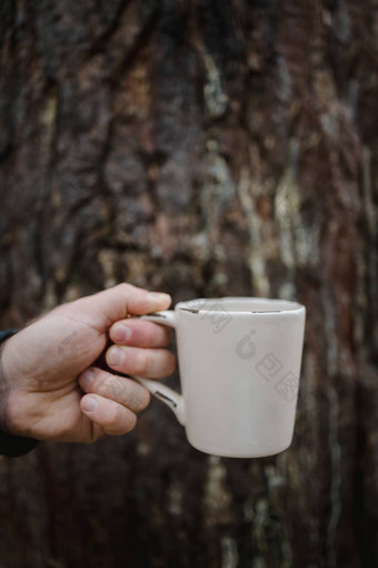 手持有杯茶咖啡背景木树干温暖的秋天大气软焦点