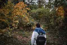 徒步旅行女人秋天森林背包客站林地秋天季节享受徒步旅行自然阳光明媚的一天