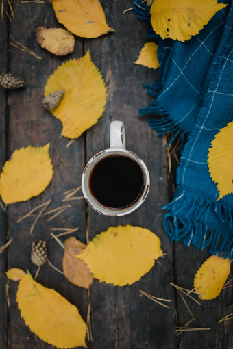 木表格秋天公园杯tea-coffee蓝色的温暖的格子围巾分散黄色的叶子松视锥细胞前视图模糊秋天温暖的黑暗情绪复制空间