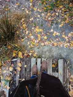 前视图女腿棕色（的）靴子背景黄色的秋天叶子木平台复制空间
