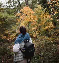 徒步旅行女人秋天森林背包客站林地秋天季节享受徒步旅行自然阳光明媚的一天