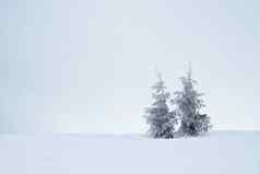 美丽的冬天山景观雪覆盖冷杉树早....