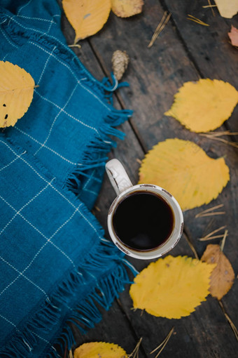 木表格秋天公园杯tea-coffee蓝色的温暖的格子围巾分散黄色的叶子松视锥细胞前视图模糊秋天温暖的黑暗情绪复制空间