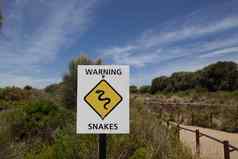 黄色的蛇警告标志海滩澳大利亚