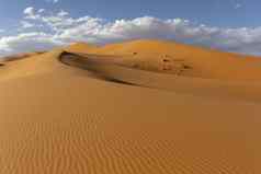 撒哈拉沙漠沙漠沙子沙丘景观日出