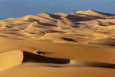 沙子沙丘黎明沙漠撒哈拉沙漠摩洛哥非洲