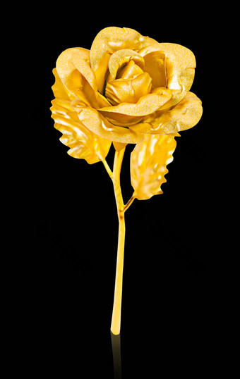 <strong>金玫瑰</strong>孤立的黑色的背景