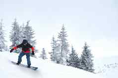 滑雪骑滑雪板山滑雪冬天体育