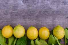 装饰边境新鲜的柠檬橙子花园乡村木