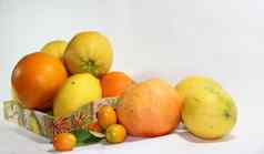 橙子葡萄柚官员柠檬kunqua白色背景