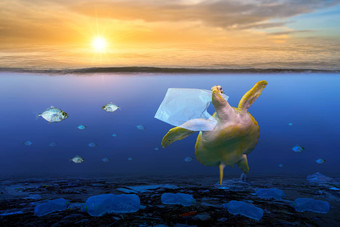 塑料海洋乌龟吃塑料袋蓝色的海环境保护概念扔垃圾海