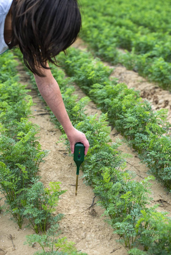 测量土壤数字设备绿色植物女人农民