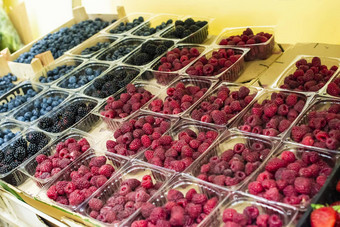 树莓蓝莓架子上市场