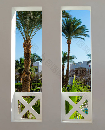 窗口视图热带花园高棕榈树埃及