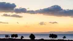 日出景观红色的海海岸轮廓棕榈树